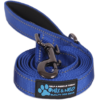 blue leash