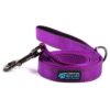 purple leash
