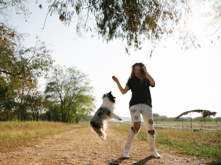 Why Do Dogs Jump on People and How to Stop Them Dog Training Lost